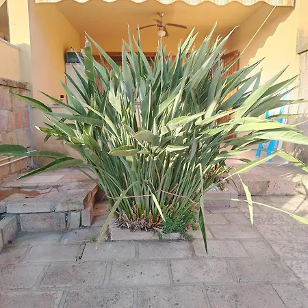 Apartment Sterlizia Porto Alabe